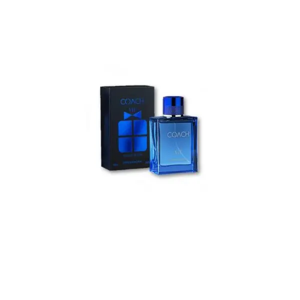 Parfum Hommes - 100 ML