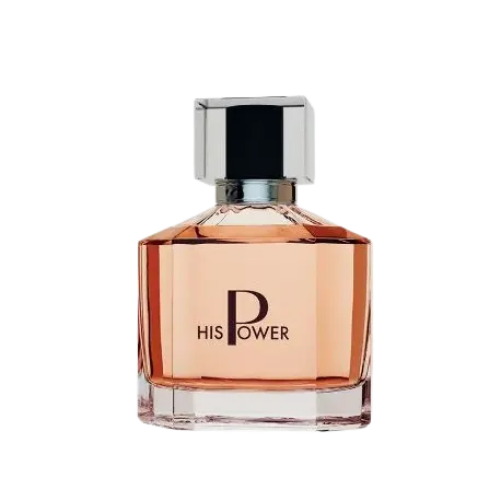 Parfum Pour un Homme - 100 ML